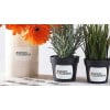 Três vasos de flores e ervas com etiquetas adesivas brancas indicando o conteúdo