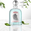 Etiquetas adesivas personalizadas em forma de arco colocada em vidro ambientador com aloe vera